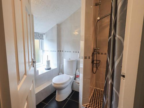 a small bathroom with a toilet and a shower at A River Runs By in Staveley