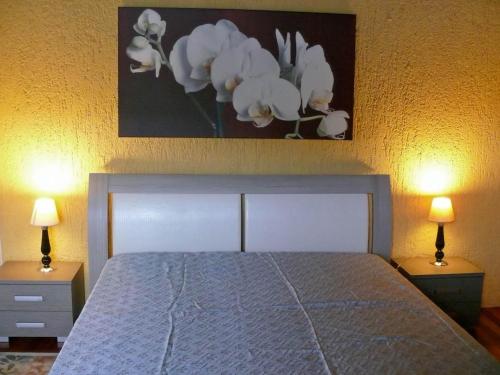 a bedroom with a bed with two lamps and a painting at Casa Ronco al lago in Pella