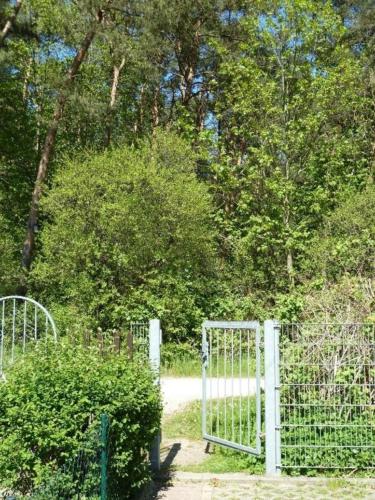 FeWo Leuchtturmblick photo 18
