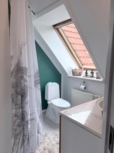 a bathroom with a toilet and a sink and a window at Art Apartment Sønderbygaard in Vinderup