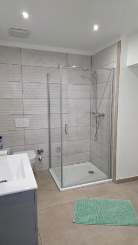 a bathroom with a shower with a sink and a counter at Auszeit am Eifeltor in Euskirchen in Euskirchen