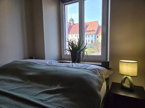 a bedroom with a bed and a window with a plant at Apartament Wiaduktowy in Srebrna Góra