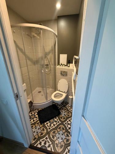a small bathroom with a shower and a toilet at Cozy Apartment In Sigulda in Sigulda