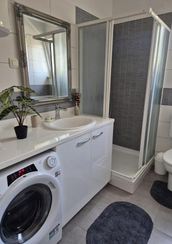 a bathroom with a washing machine and a sink at Apartment Perla in Dinjiška