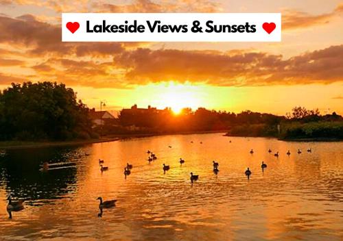a group of ducks swimming in a lake at sunset at The Ultimate Romantic Getaway! Cosy Cottage surrounded by Wildlife with Lakeside views, Log Burner & miles of Sandy Beach on your Doorstep! All at the Best Location in Mablethorpe! For that "Special" Seaside experience! in Mablethorpe
