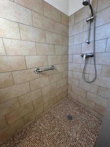 a bathroom with a shower with a tiled shower at L'appartement la rochebardière in Saint-Paul-lès-Dax