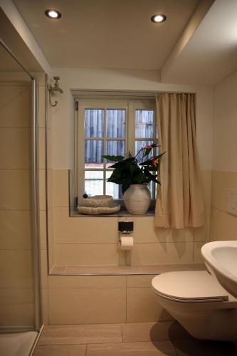 a bathroom with a toilet and a window and a plant at Ferienwohnung Obstgarten in Märstetten