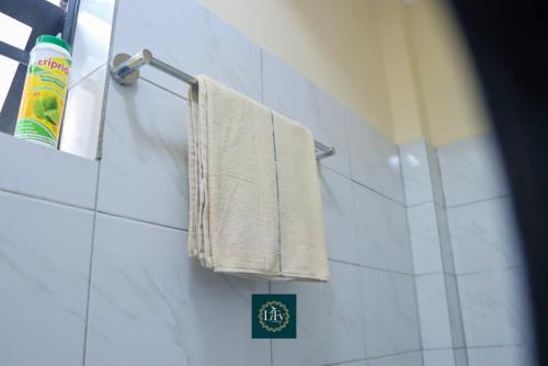 a bathroom with towels hanging on a towel rack at Executive 1BR with Free WiFi & Netflix in Nyeri