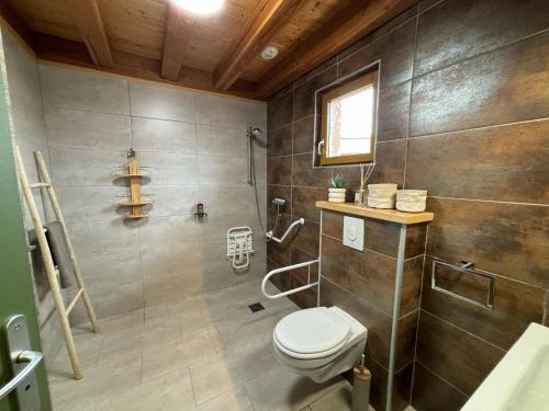 a bathroom with a toilet and a shower at Le ptit Sabot in Corcieux