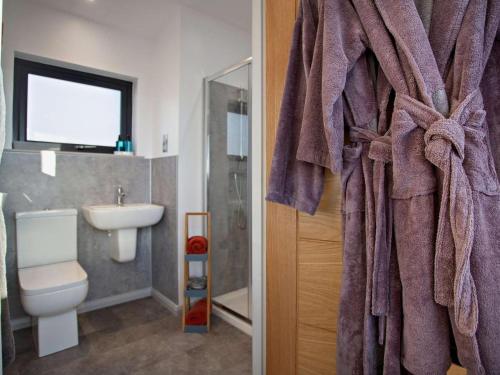 a bathroom with a toilet and a sink at 1 Bed in Ardgay oc-90470 in Bonar Bridge