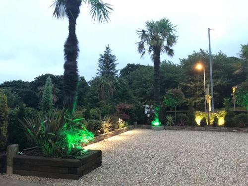 a park with palm trees and green lights at Bradleigh Lodge in St Austell