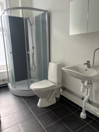 a bathroom with a shower and a toilet and a sink at Charmigt boende på i centrala Helsingborg in Helsingborg