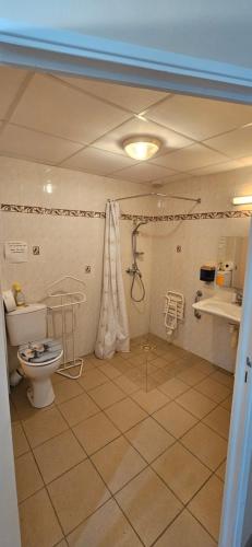 a bathroom with a toilet and a sink at Chambres à 2 pas du Mans in Trangé