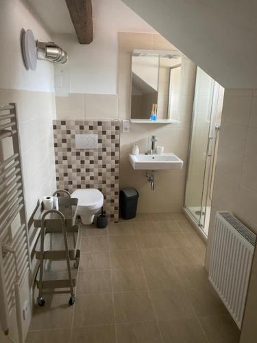 a bathroom with a sink and a toilet and a mirror at Hostinec U Pejska a Kocicky in Mariánské Lázně
