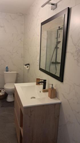 a bathroom with a sink and a mirror and a toilet at Maison cosy esprit campagne in Luçon