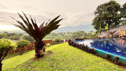 a garden with a palm tree next to a swimming pool at Villa Kay Height in Kopo 2