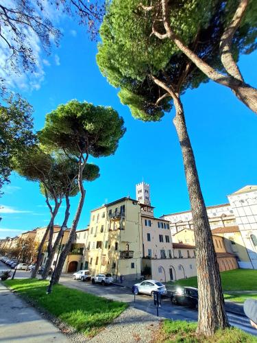 Foto Nel cuore del centro storico di Lucca a ridosso della Cattedrale di San Martino appartamento con accesso autonomo e giardino esclusivo 6