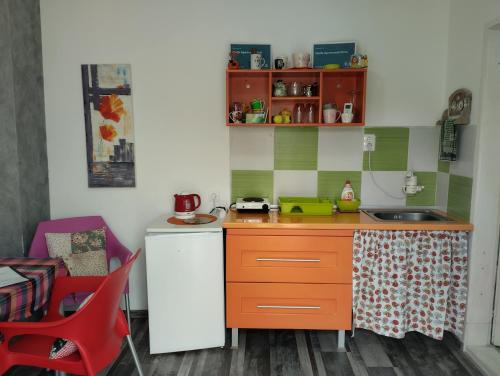 a small kitchen with a counter and a sink at Cyclo Apartment Pinki in Bačka Palanka