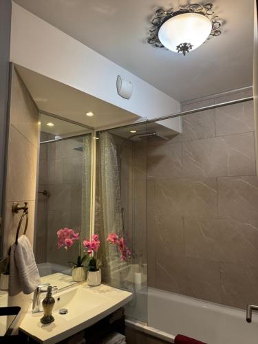 a bathroom with a sink and a shower at ALTAMIRA (Paris Expo - Porte de Versailles) in Issy-les-Moulineaux