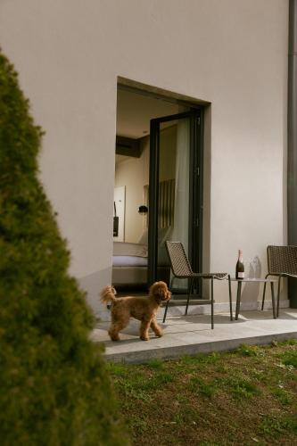 3T Boutique Hotel — Garden view