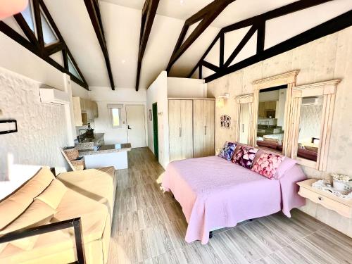 a large room with a bed and a couch at Punta Blanca Ocean Suites in Santa Elena