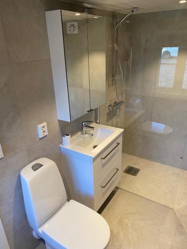a bathroom with a toilet and a sink and a shower at Skipperhus Skjærhalden in Skjærhollen