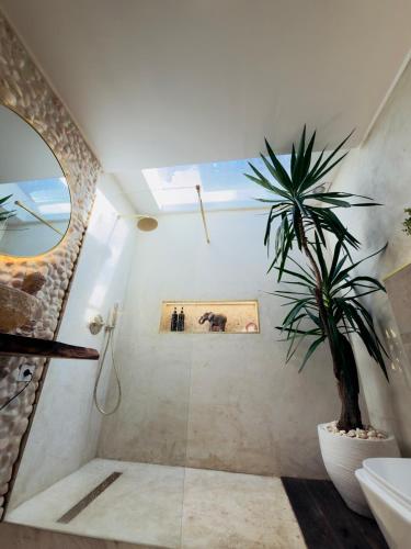 a bathroom with a shower and a potted plant at Douro Rural Home in Melres
