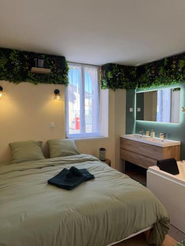 a bedroom with a bed with a sink and a mirror at La Jungle - A71 - Jacuzzi et Cinéma in La Chapelle-Saint-Ursin