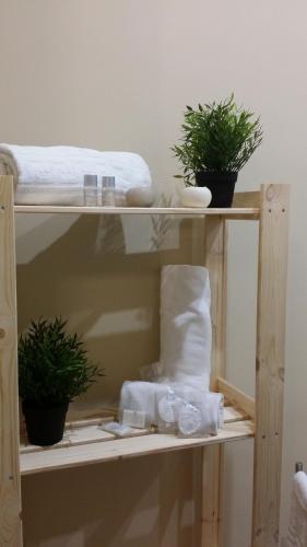 a shelf with two potted plants and towels on it at B&B Sicily Luxury in Catania