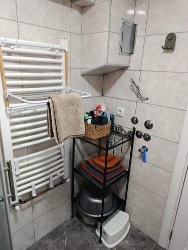 a small bathroom with a shower and a toilet at Mitrovića kuća in Arandelovac