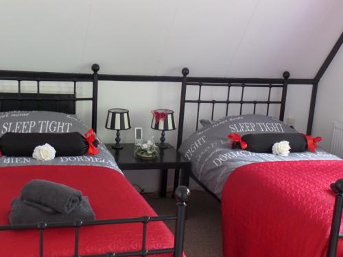 two beds in a bedroom with red and grey pillows at Carpe Diem in Ommen