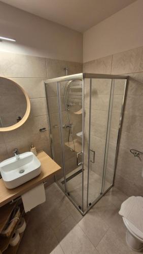 a bathroom with a shower and a sink at Sólyomvár-Lak in Komlóska