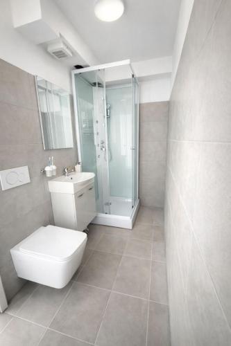 a white bathroom with a toilet and a shower at Tibetan BB in Bellinzona