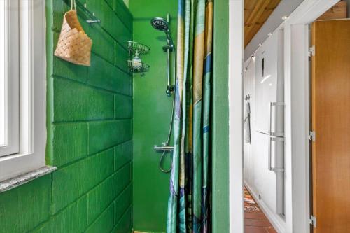 a shower in a green walled bathroom with a door at 84307-8400-Skovduevej-4 in Fuglslev