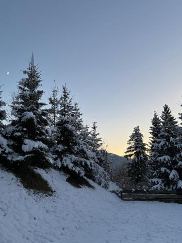 Casa Mulin Laax
