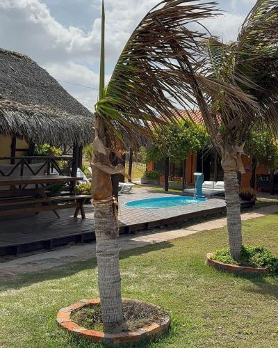 a palm tree in a yard next to a pool at Vila Riomar in Luis Correia