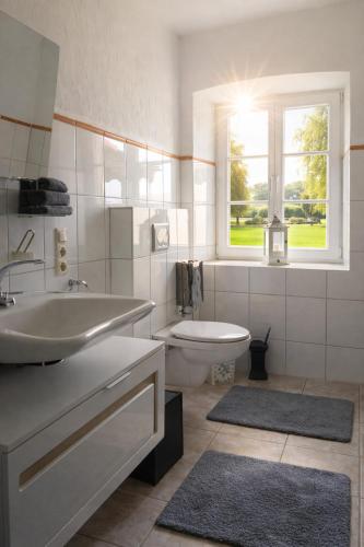 a bathroom with a sink and a toilet and a window at Wildblick Appartment Hof Grindelborn in Mürlenbach