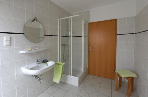 a bathroom with a sink and a shower at Lindenhof Helmke in Schellerten