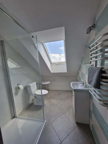 a bathroom with a shower and a toilet and a sink at Pokoje u Emilii in Mikołajki