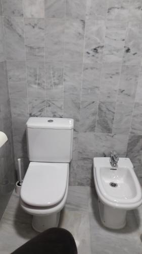 a bathroom with a toilet and a sink at Hipalis Palmera in Seville