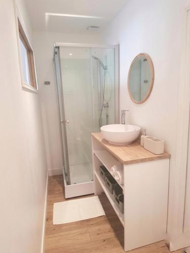 a bathroom with a sink and a shower at Petit cocon avec terrasse privée à Saint Barthélémy in Saint-Barthélemy-dʼAnjou