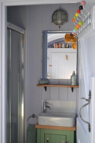 a bathroom with a sink and a mirror and a shower at Isabelle Shepherd's hut in Hethersett