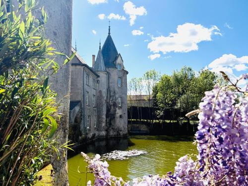 Chateau de la Preuille Gites
