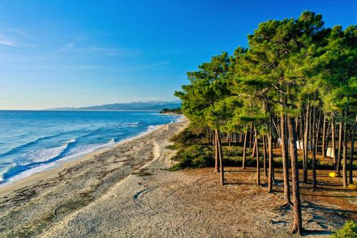 a group of trees on a beach near the water at Villa Sant Antone in Ghisonaccia