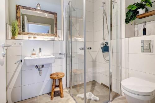 a bathroom with a shower and a toilet and a sink at FeHa Windspiel in Loddin