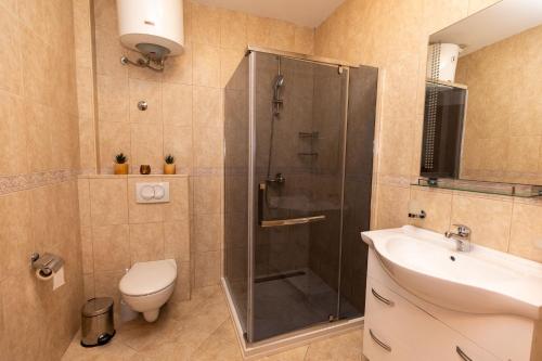 a bathroom with a shower and a toilet and a sink at BELAIR Rooms Montenegro in Sutorina