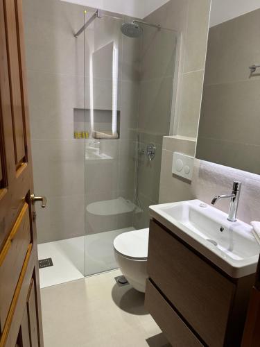 a bathroom with a shower and a toilet and a sink at Petreas Studio in Kardamyli