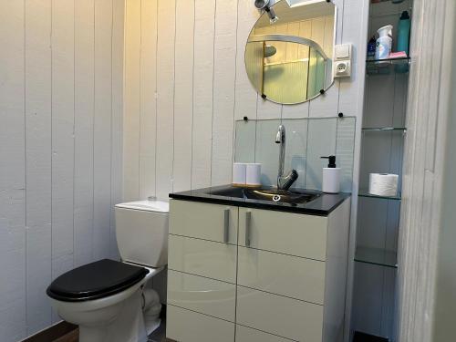 a bathroom with a toilet and a sink and a mirror at Charmante maison vue chenal in Les Sables-d'Olonne
