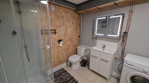 a bathroom with a shower and a toilet and a sink at Chambre d'hôtes MA DAME in Clérey