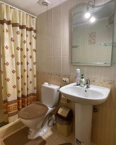 a bathroom with a toilet and a sink at котедж Квітуча Гора in Yablunytsya